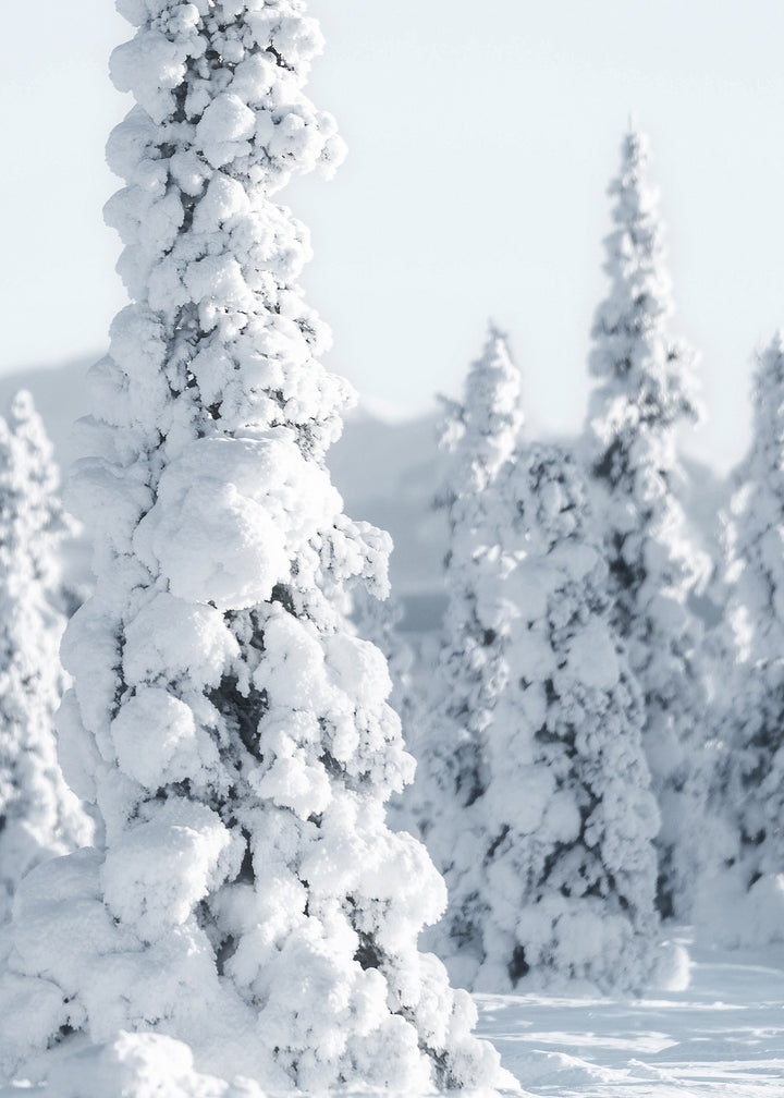 Ljuddämpande tavla - Trees and Snow