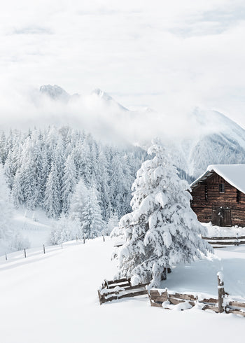 Ljuddämpande tavla - Snow and Mountains