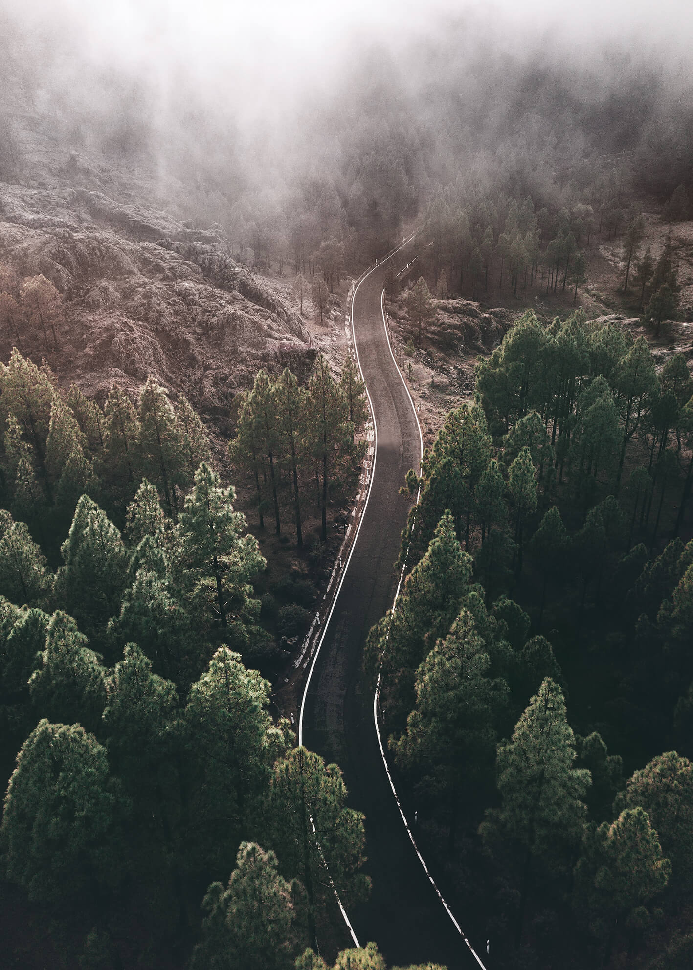 Tavla - Woodland
