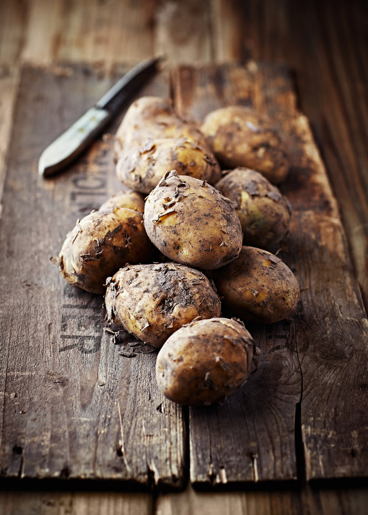 Ljuddämpande tavla - Earthy Tubers