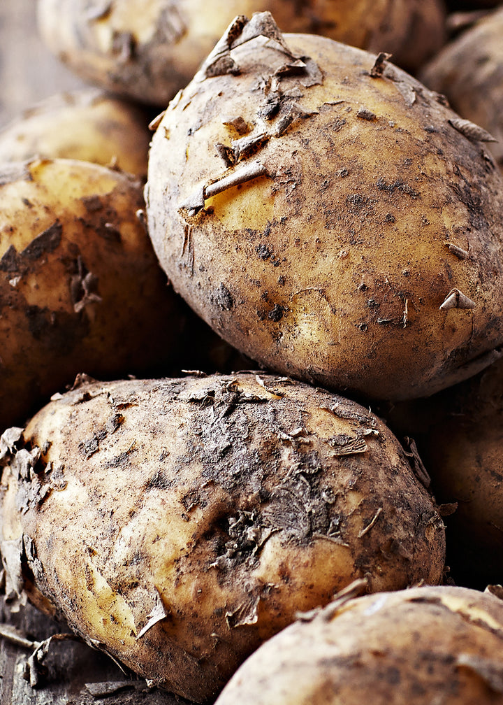 Ljuddämpande tavla - Earthy Tubers