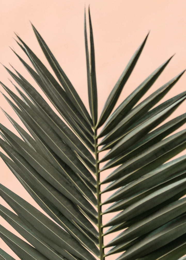 Canvastavla - Palm Leaves