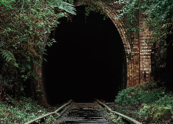 Ljuddämpande tavla - Nature's Overpass