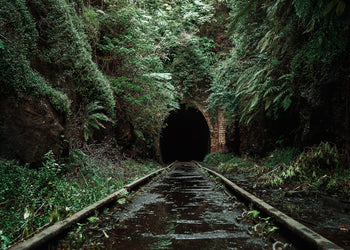 Ljuddämpande tavla - Nature's Overpass