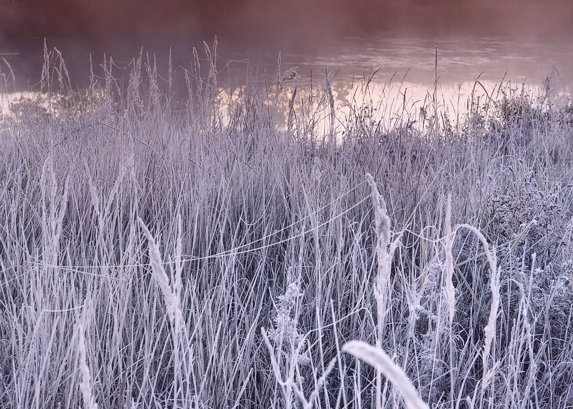 Ljuddämpande tavla - Frost Glow