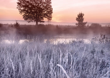 Ljuddämpande tavla - Frost Glow