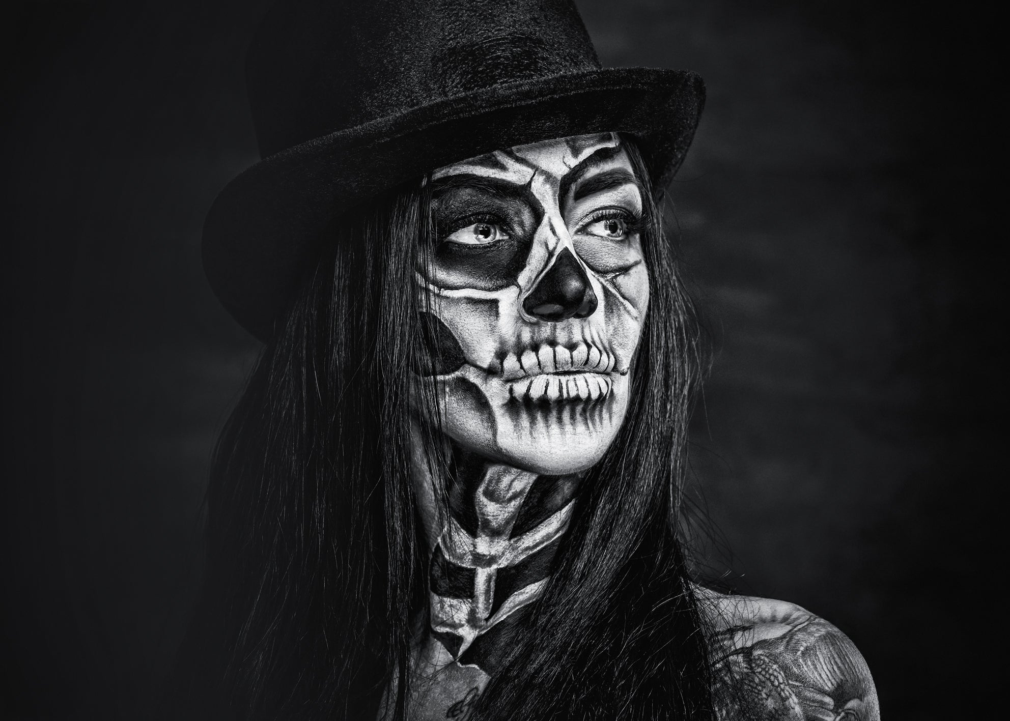 Ljuddämpande tavla - Noir Elegy