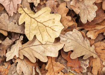 Ljuddämpande tavla - Nature's Tapestry
