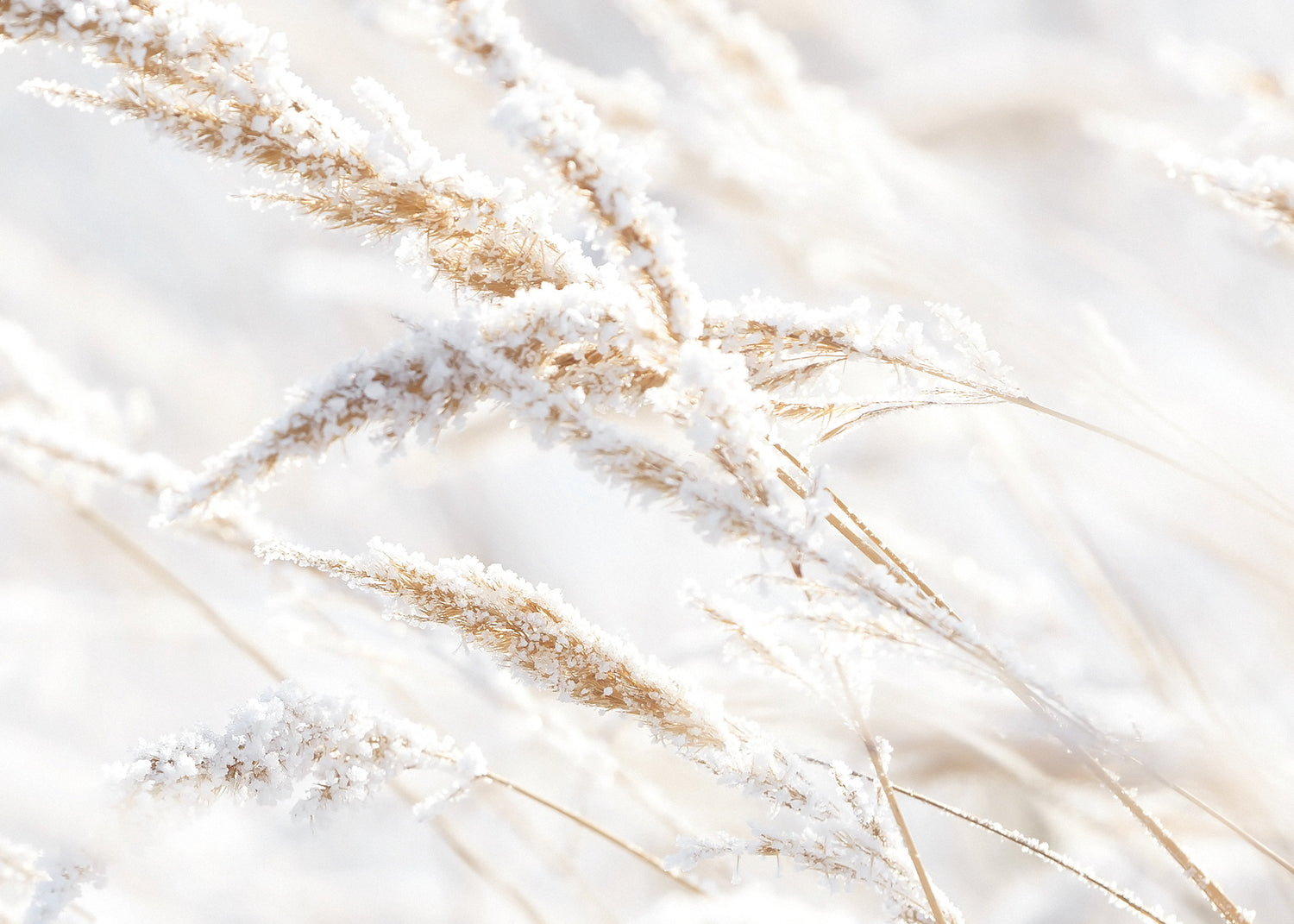 Ljuddämpande tavla - Whispering Winter