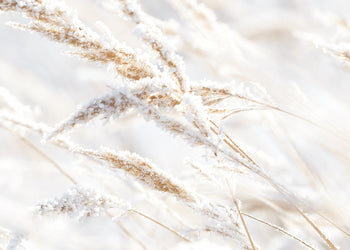 Ljuddämpande tavla - Whispering Winter
