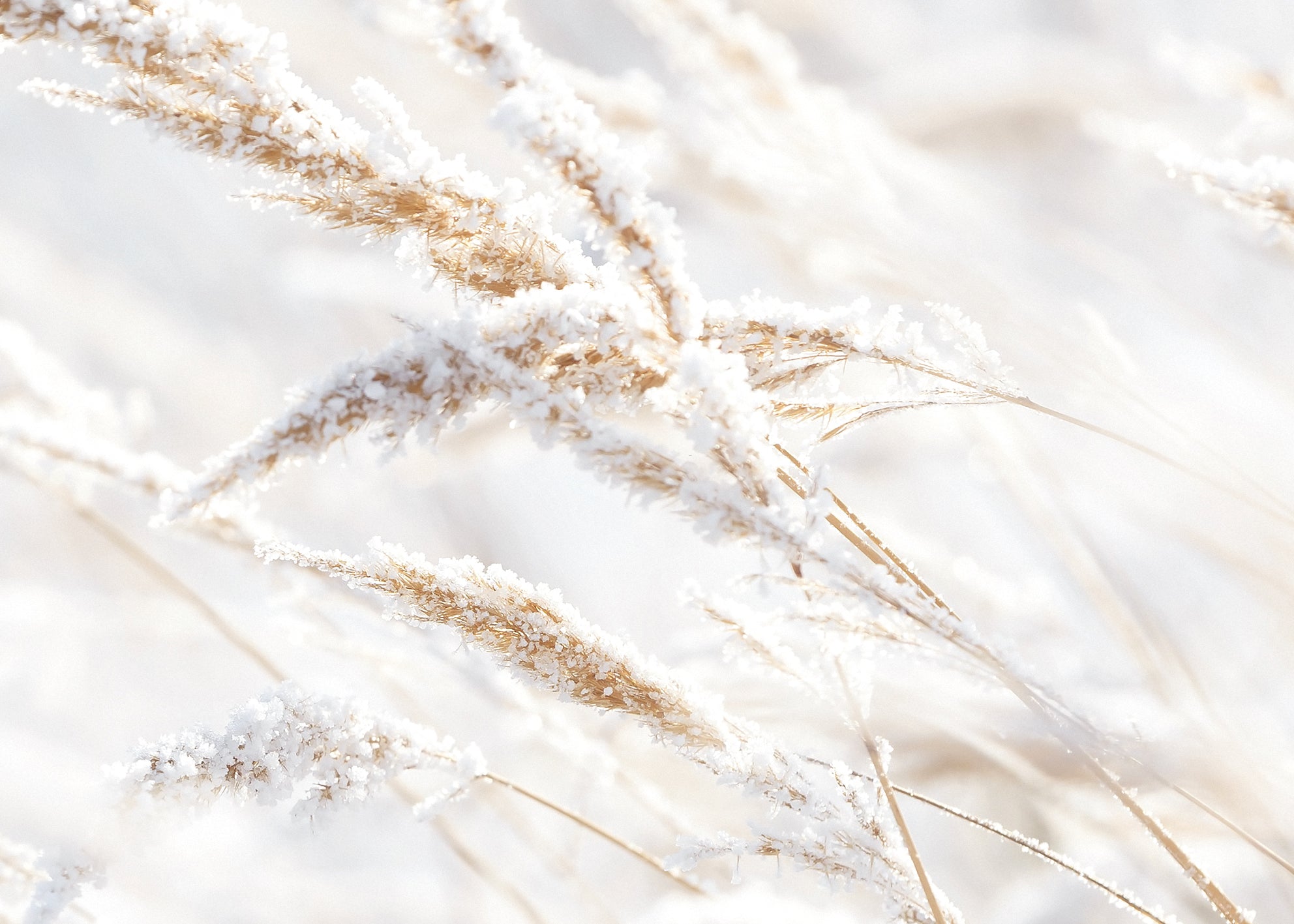 Ljuddämpande tavla - Whispering Winter