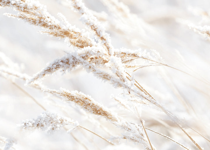Ljuddämpande tavla - Whispering Winter