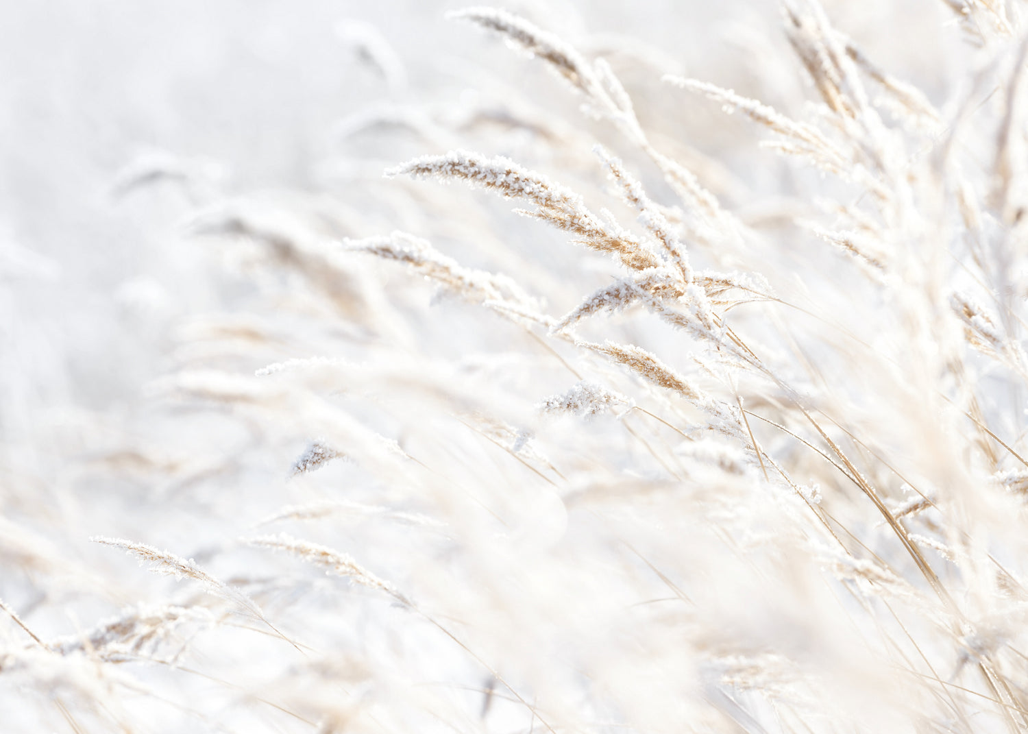 Ljuddämpande tavla - Whispering Winter