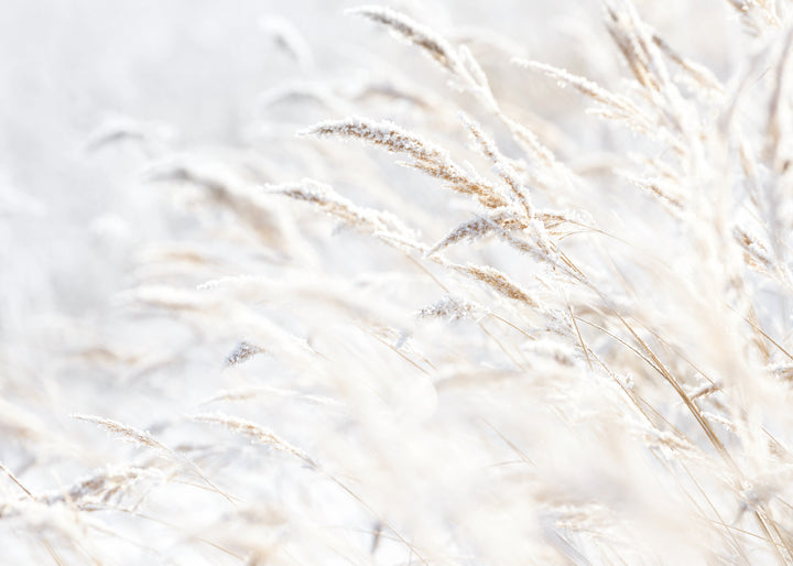 Ljuddämpande tavla - Whispering Winter