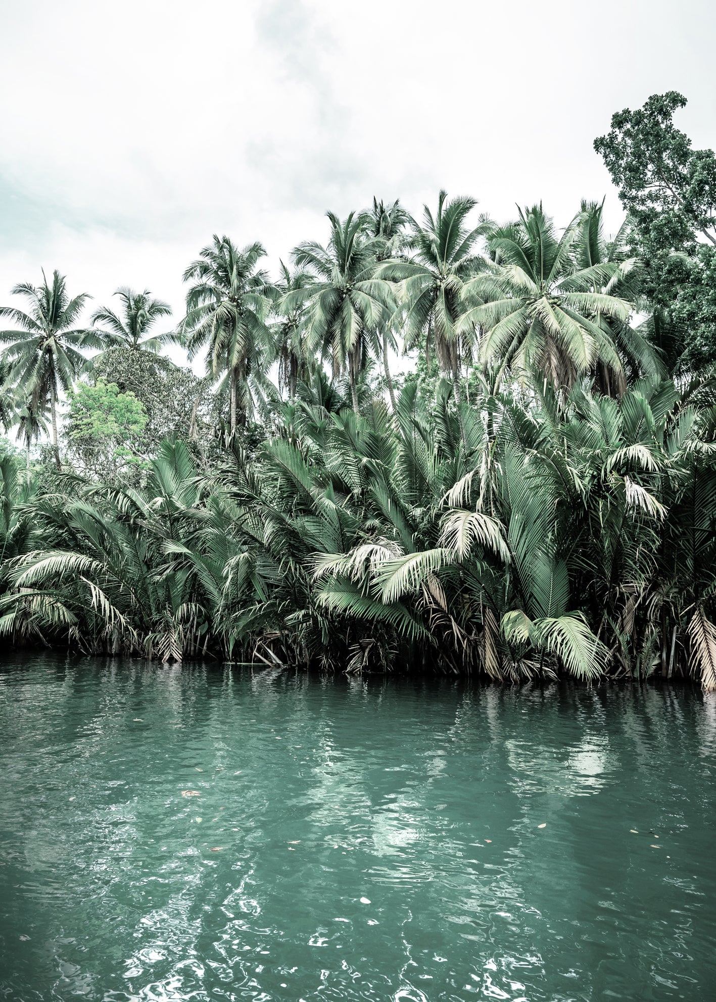 Ljuddämpande tavla - Palms and Clouds