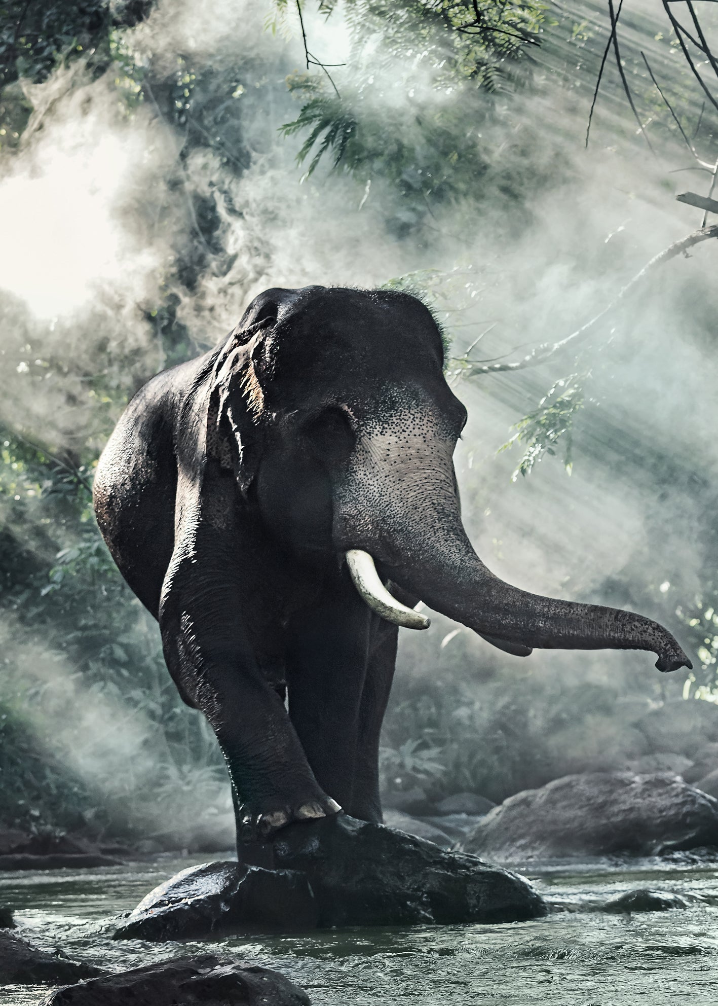 Ljuddämpande tavla - Delightful