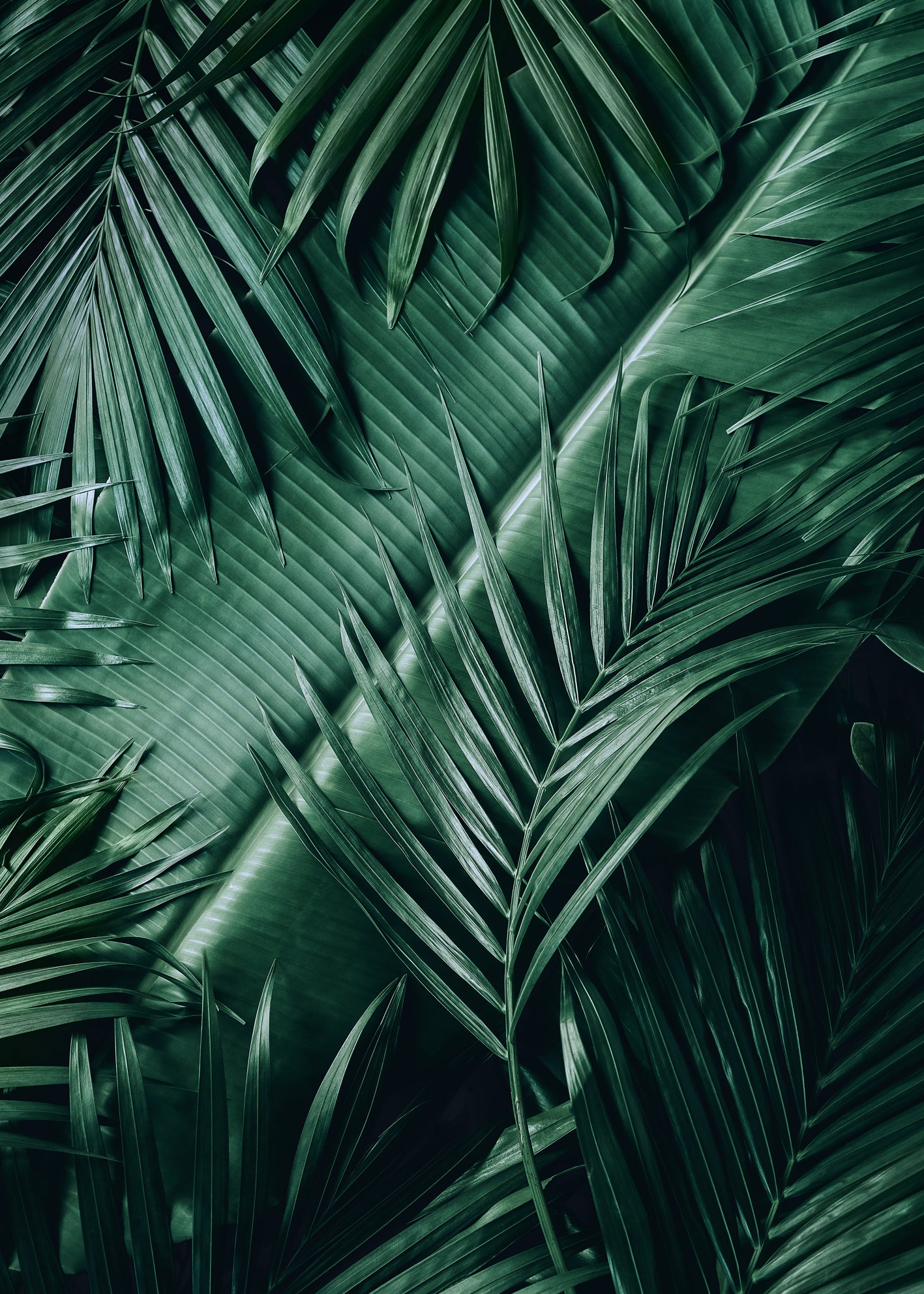 Ljuddämpande tavla - Exotic Leaves