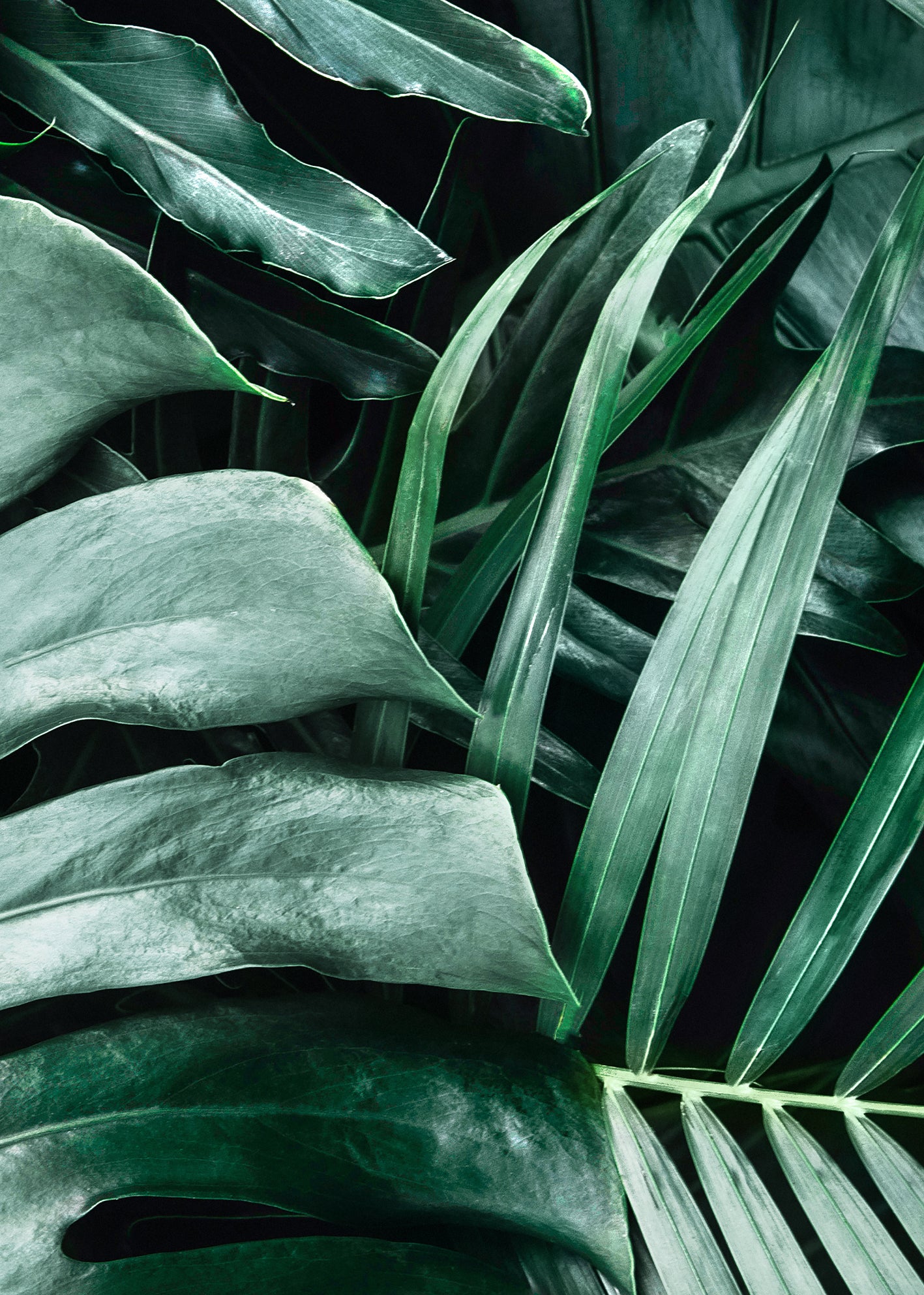 Ljuddämpande tavla - Monstera