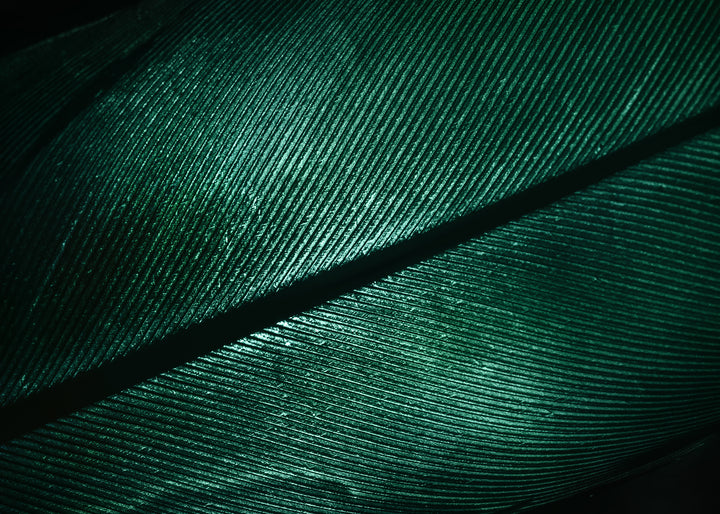 Ljuddämpande tavla - Green Feather