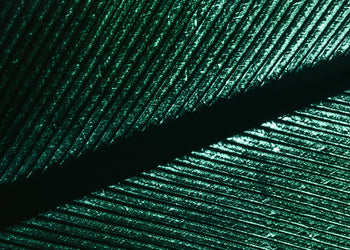 Ljuddämpande tavla - Green Feather
