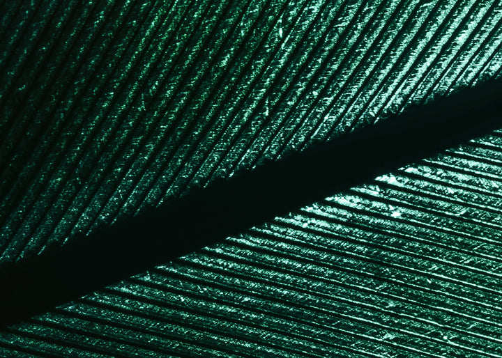 Ljuddämpande tavla - Green Feather