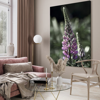 Canvastavla - Lupine