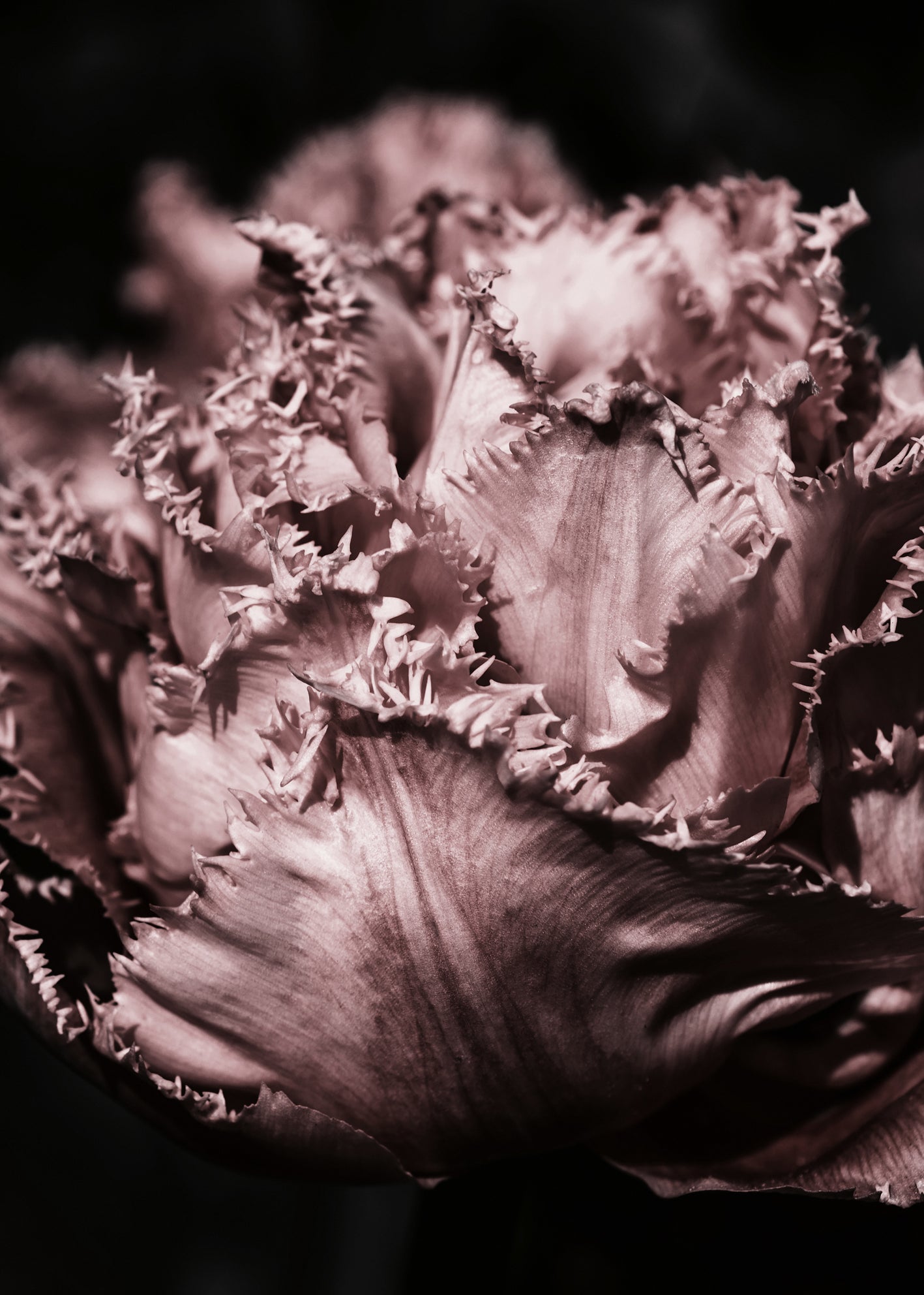 Ljuddämpande tavla - Flourish