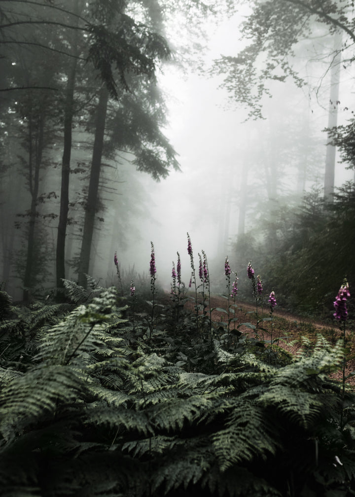 Ljuddämpande tavla - The Forest Path