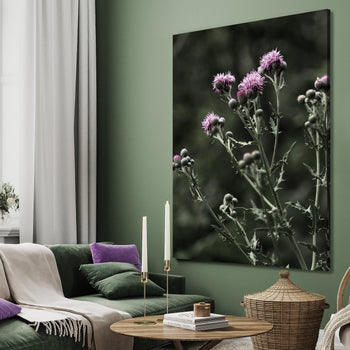 Ljuddämpande tavla - Thistles