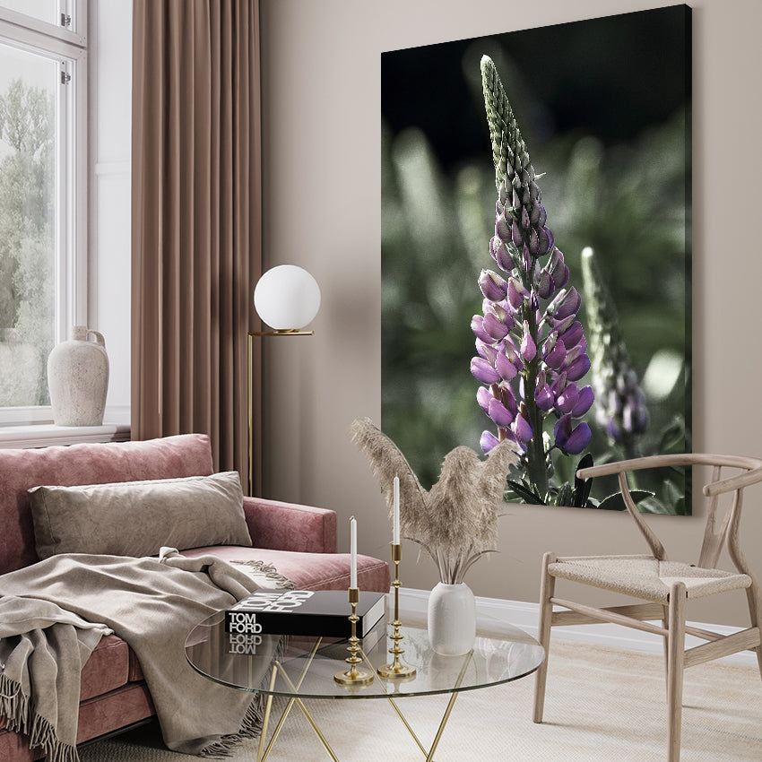 Ljuddämpande tavla - Lupine