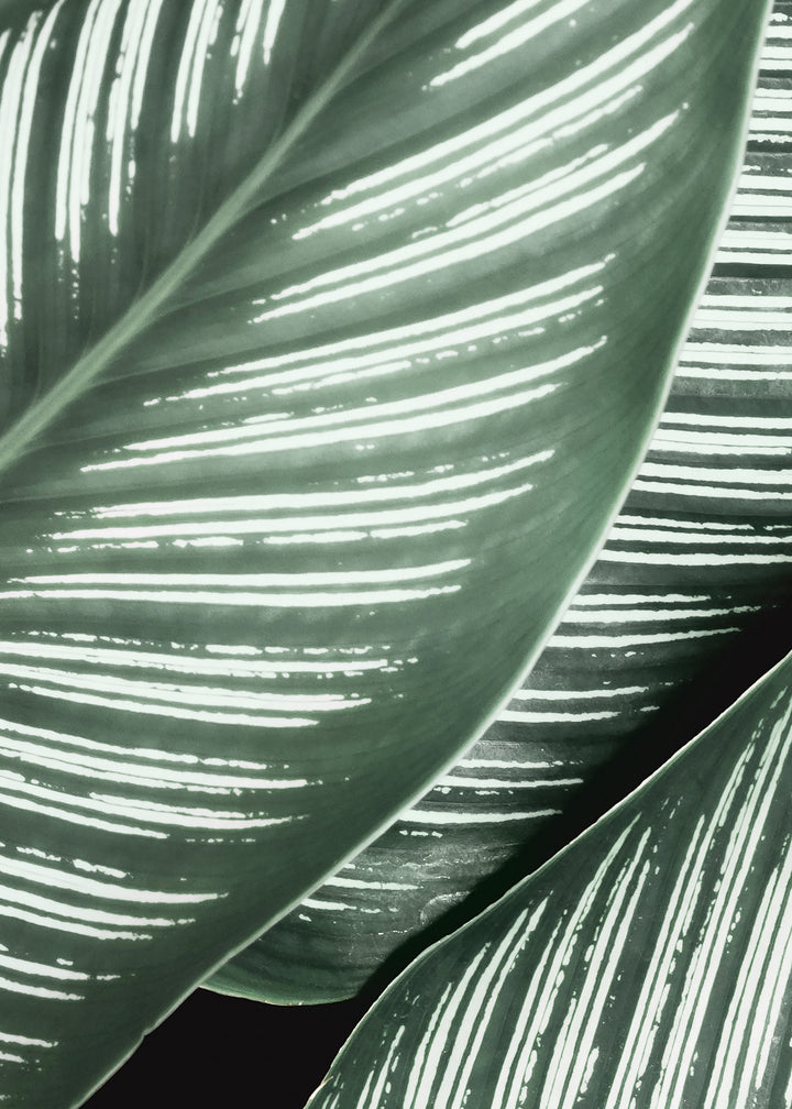 Ljuddämpande tavla - Green Leaf