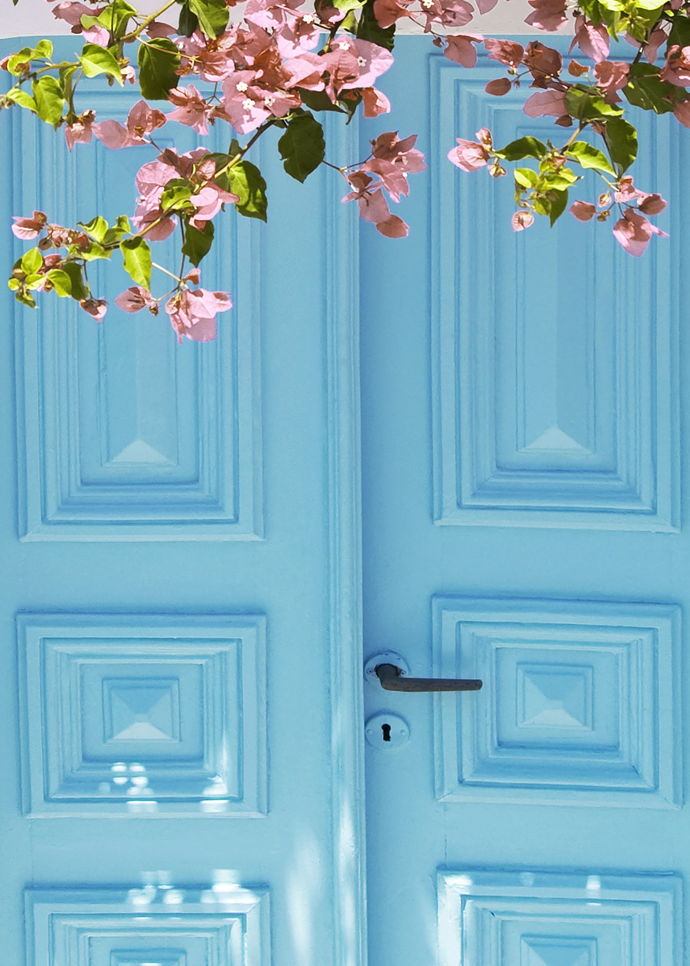 Ljuddämpande tavla - Blossom Doorway
