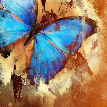 Canvastavla - Butterfly