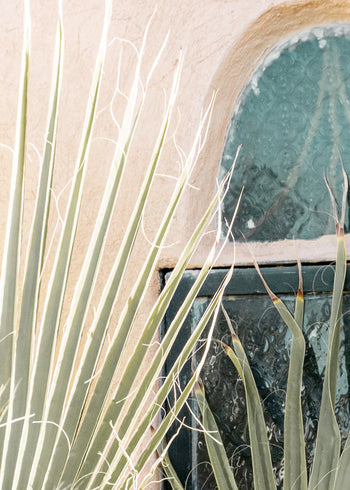 Ljuddämpande tavla - Palm Window