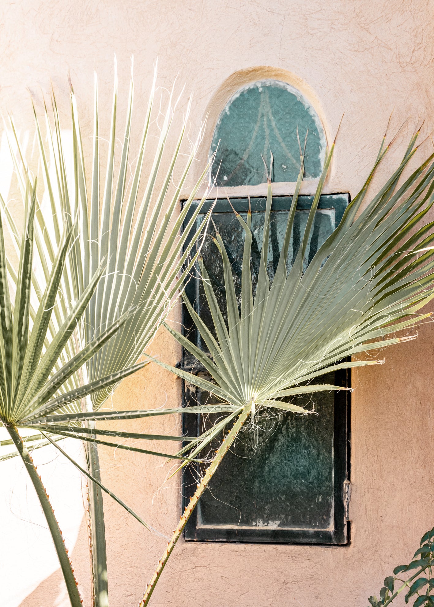 Ljuddämpande tavla - Palm Window