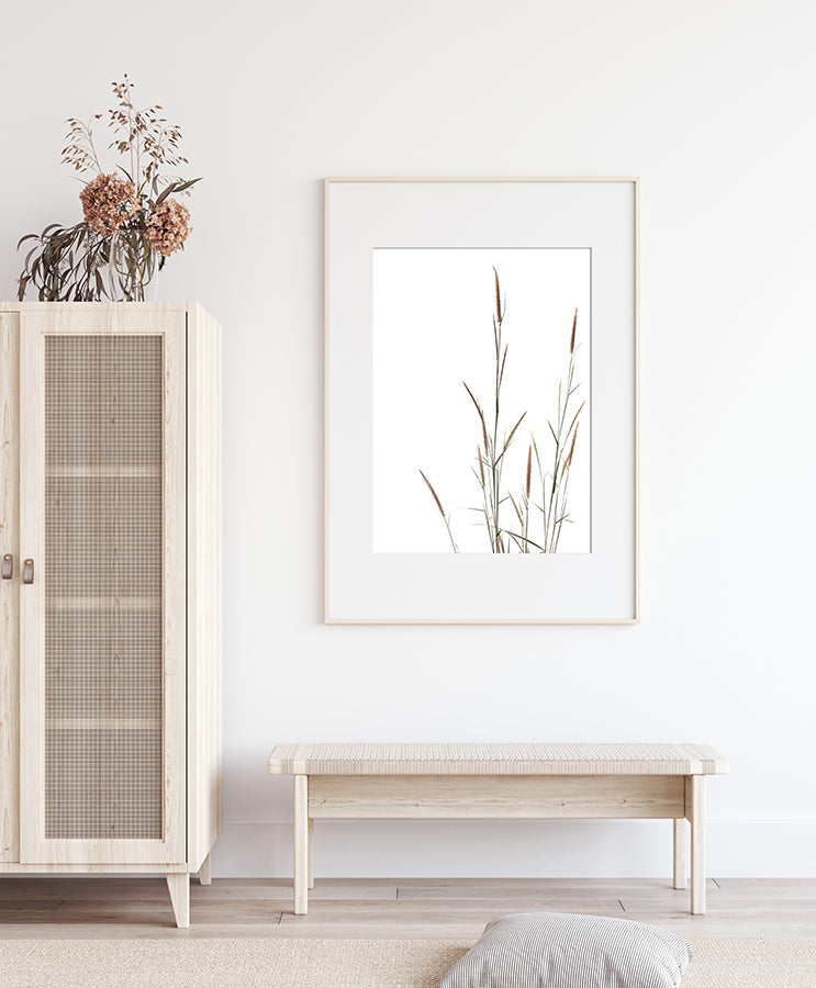 Poster - Erba