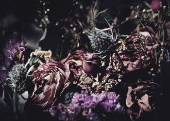 Ljuddämpande tavla - Wild Rose