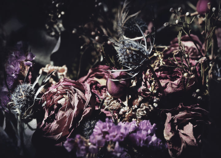 Ljuddämpande tavla - Wild Rose