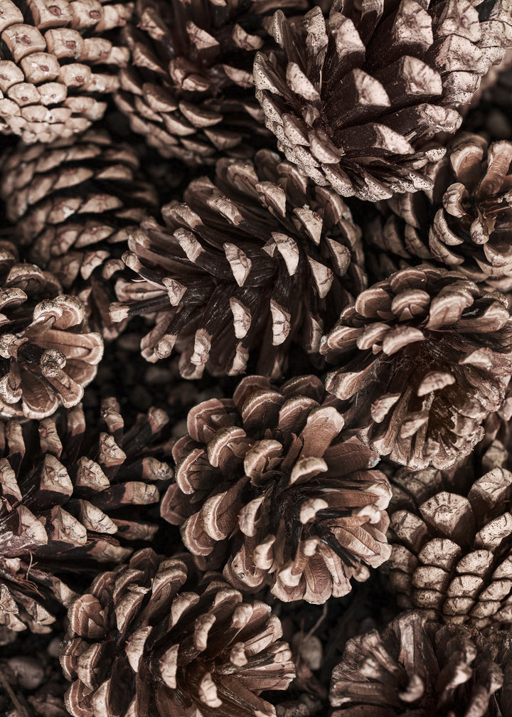 Ljuddämpande tavla  - Cones