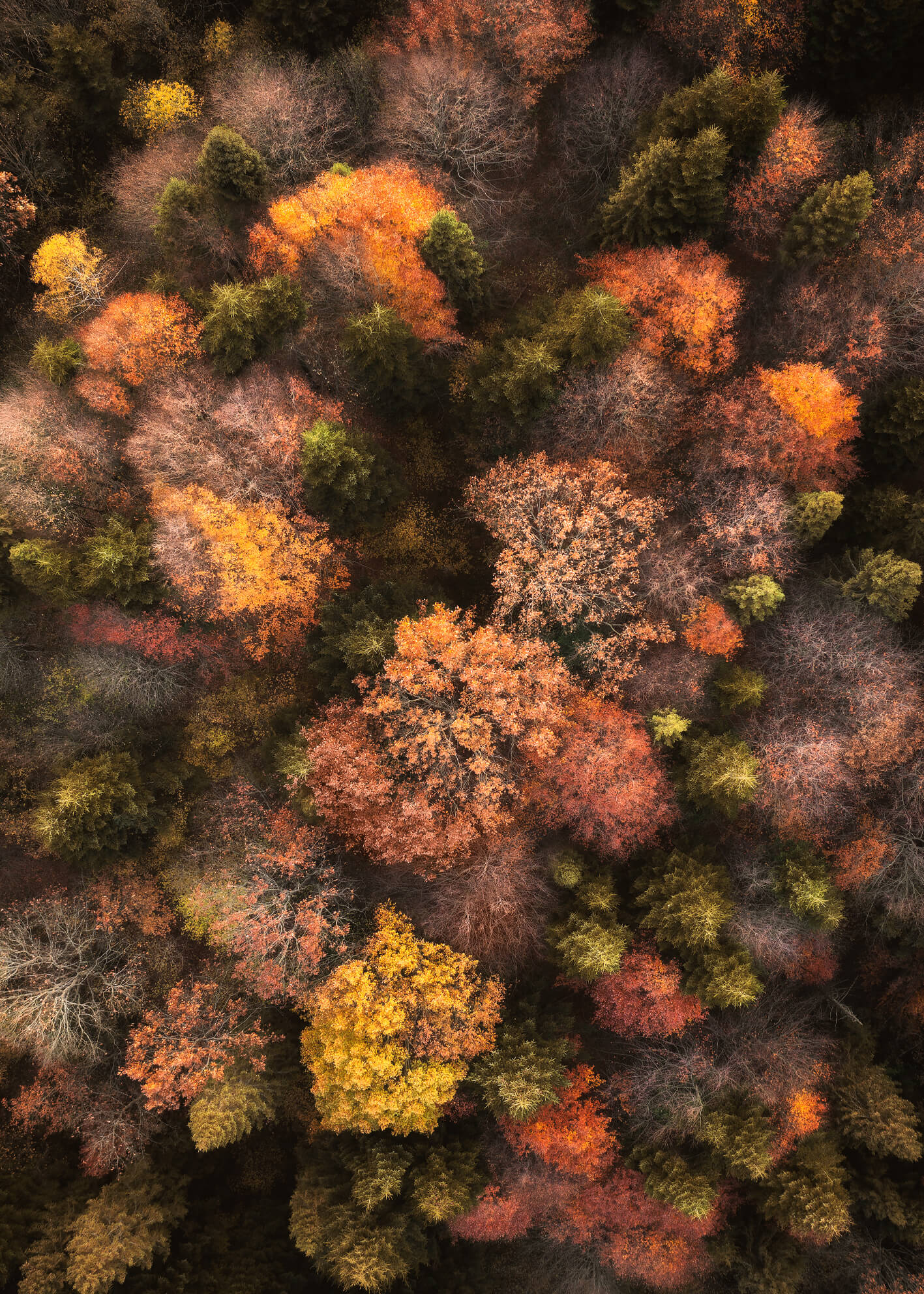 Ljuddämpande tavla - Fall's Canvas