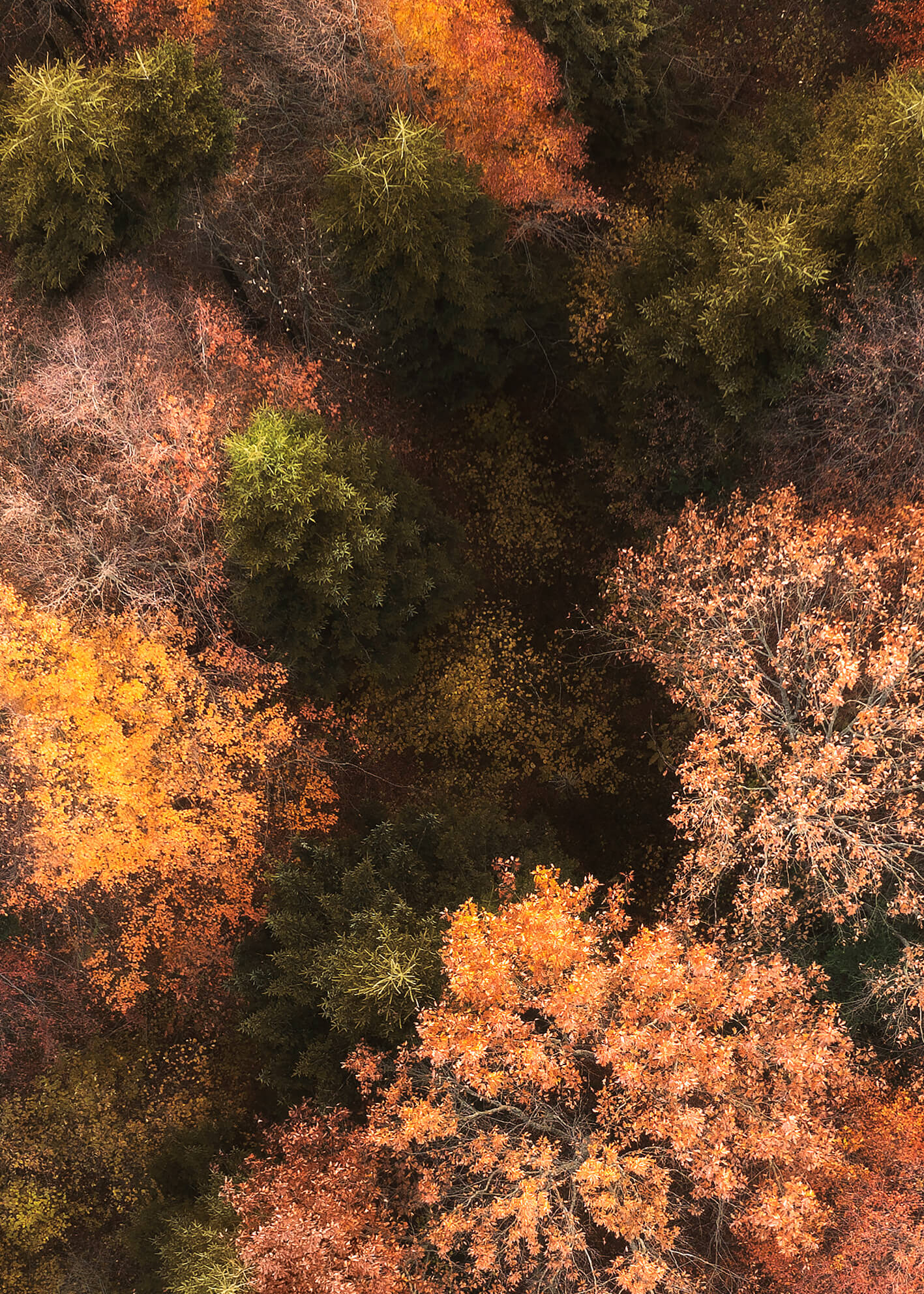 Ljuddämpande tavla - Fall's Canvas