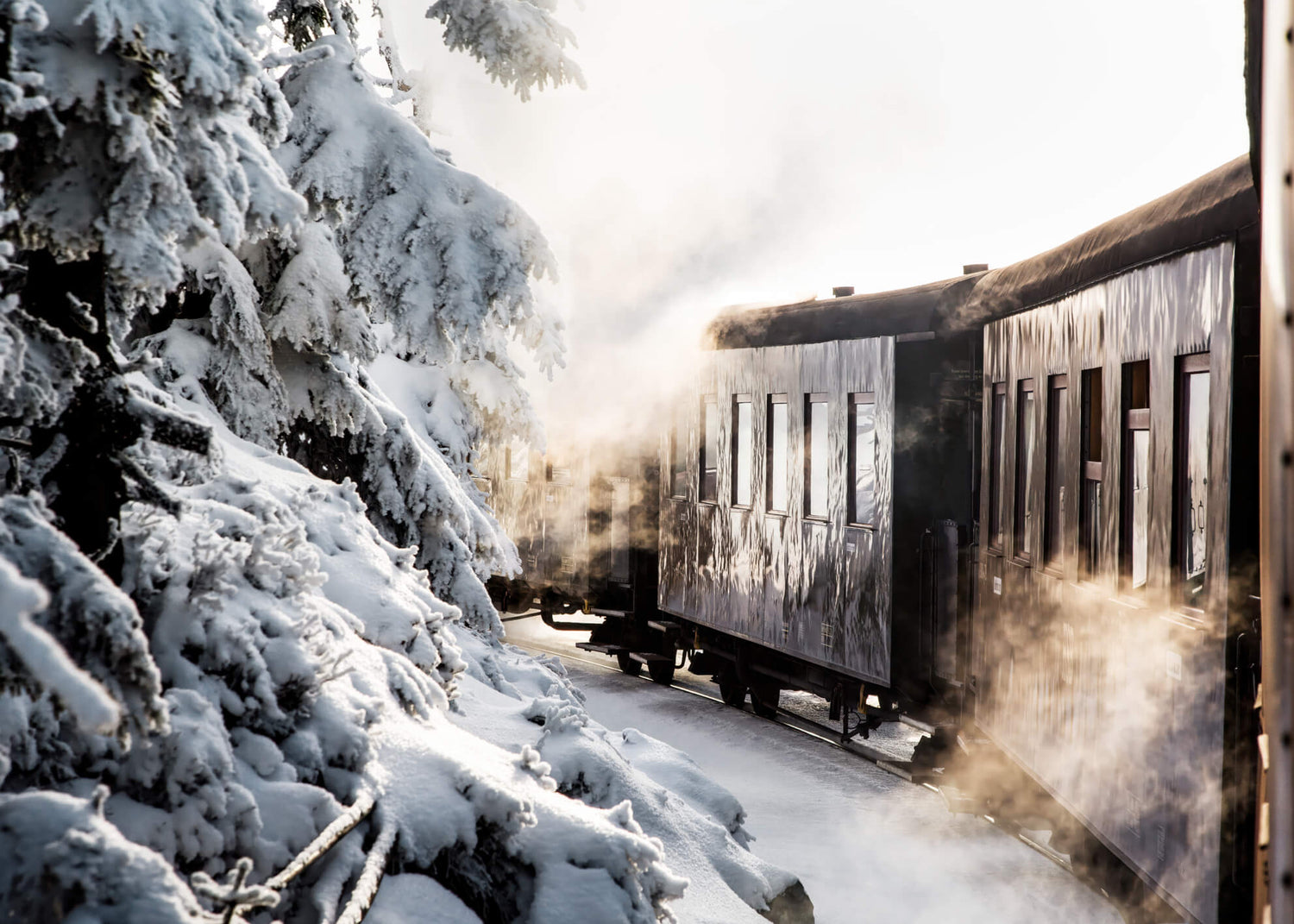 Ljuddämpande tavla - Winter Journey