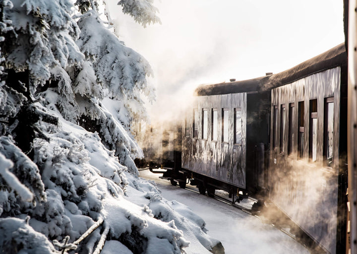 Ljuddämpande tavla - Winter Journey