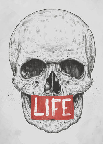 Ljuddämpande tavla - The Paradox of Life