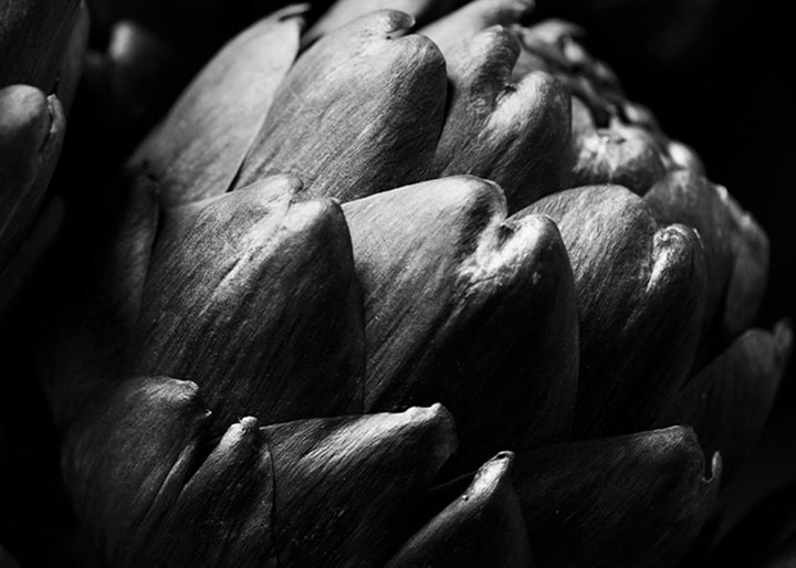 Canvastavla - Artichoke