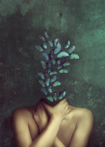 Ljuddämpande tavla - Metamorphosis of Mind