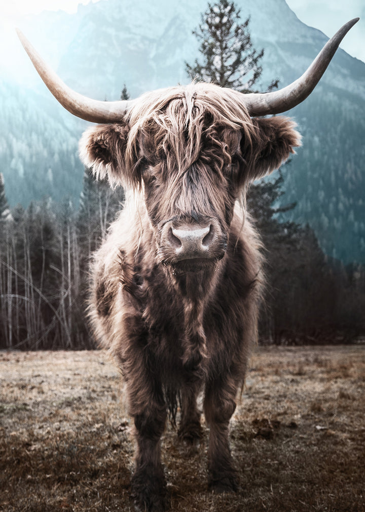 Juliste - Horns