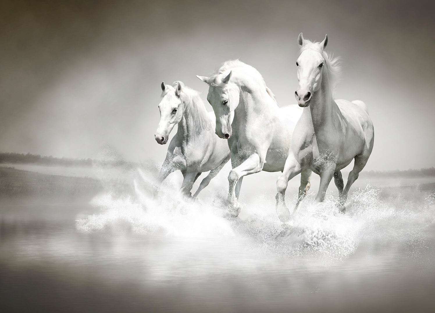 Canvastavla - Spirit Runners (80x120)