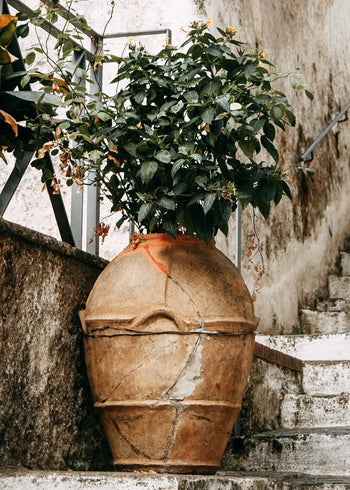 Ljuddämpande tavla - Mediterranean Terrace