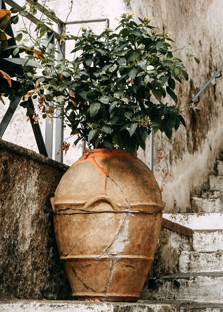Ljuddämpande tavla - Mediterranean Terrace